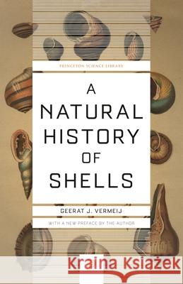 A Natural History of Shells Geerat J. Vermeij 9780691229249 Princeton University Press