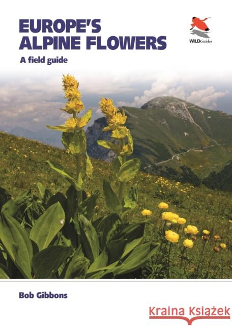 Europe's Alpine Flowers: A Field Guide Bob Gibbons Robert Still 9780691230788 Princeton University Press