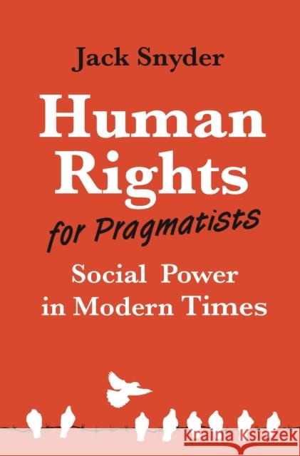 Human Rights for Pragmatists: Social Power in Modern Times Snyder, Jack 9780691231549 Princeton University Press