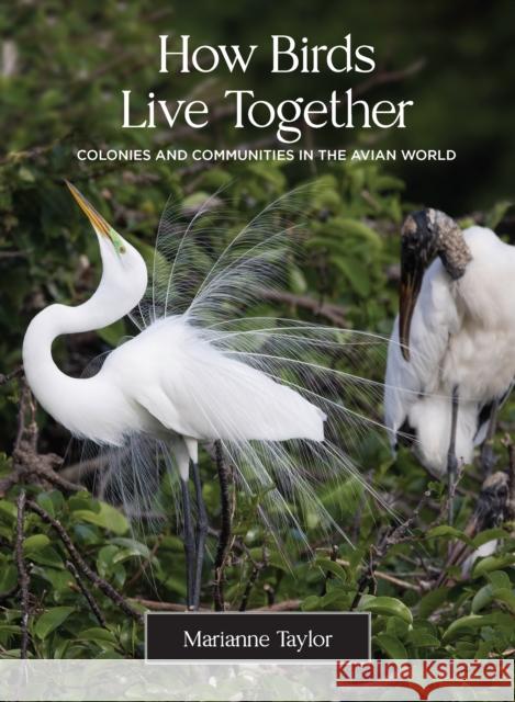 How Birds Live Together: Colonies and Communities in the Avian World Taylor, Marianne 9780691231907 Princeton University Press