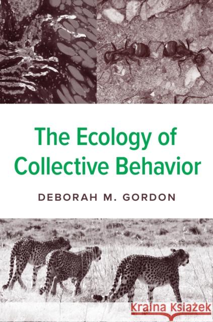 The Ecology of Collective Behavior Deborah M. Gordon 9780691232140 Princeton University Press