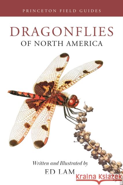 Dragonflies of North America Ed Lam 9780691232874 Princeton University Press