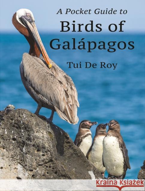 A Pocket Guide to Birds of Galapagos Tui De Roy 9780691233635 Princeton University Press