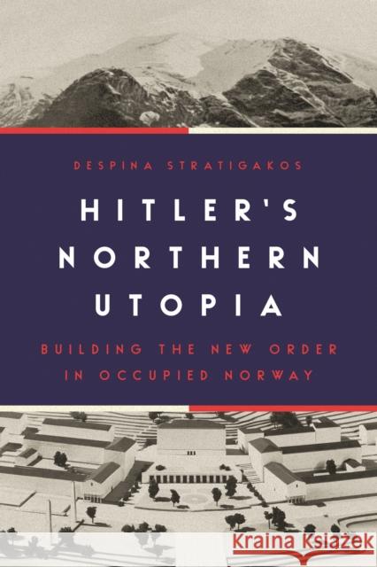 Hitler's Northern Utopia: Building the New Order in Occupied Norway Stratigakos, Despina 9780691234137 Princeton University Press