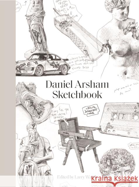 Sketchbook Daniel Arsham 9780691234267 Princeton University Press