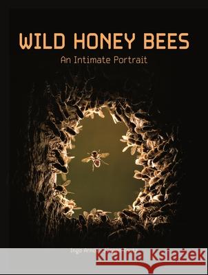 Wild Honey Bees: An Intimate Portrait Ingo Arndt J 9780691235080