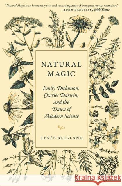 Natural Magic: Emily Dickinson, Charles Darwin, and the Dawn of Modern Science Renee Bergland 9780691235301 Princeton University Press