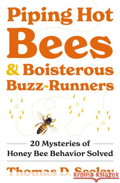 Piping Hot Bees and Boisterous Buzz-Runners: 20 Mysteries of Honey Bee Behavior Solved Thomas D. Seeley 9780691237695 Princeton University Press