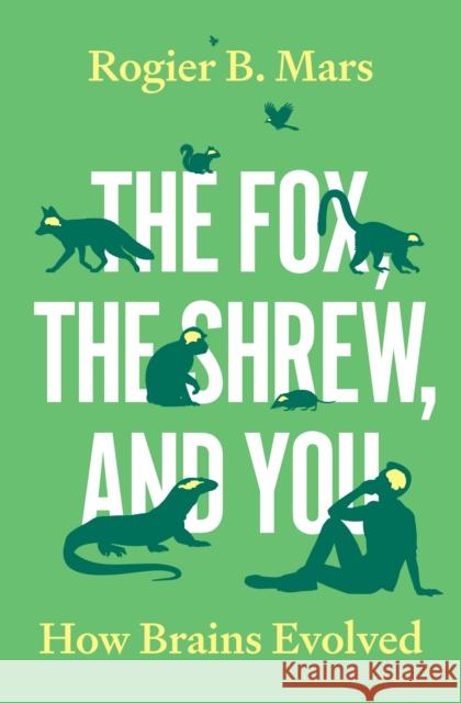 The Fox, the Shrew, and You: How Brains Evolved Rogier Mars 9780691238920 Princeton University Press
