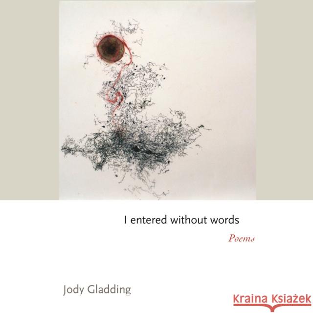 I Entered Without Words: Poems Gladding, Jody 9780691238968 Princeton University Press
