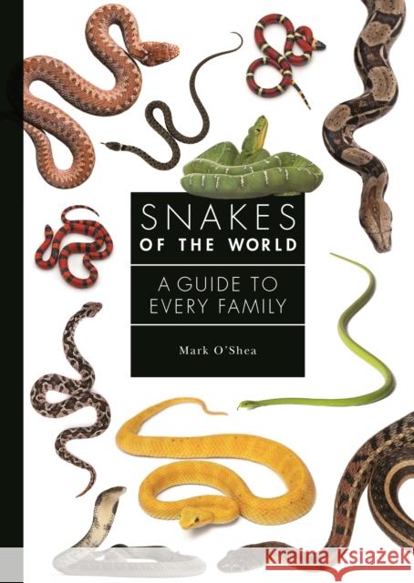 Snakes of the World: A Guide to Every Family Mark O'Shea 9780691240664 Princeton University Press