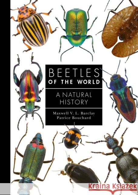 Beetles of the World: A Natural History Maxwell V. L. Barclay Patrice Bouchard 9780691240732 Princeton University Press