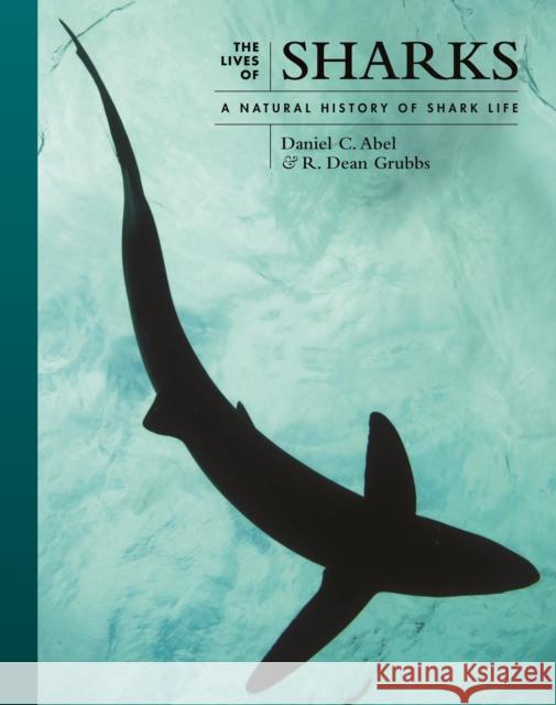 The Lives of Sharks: A Natural History of Shark Life Daniel Abel R. Dean Grubbs 9780691244310 Princeton University Press