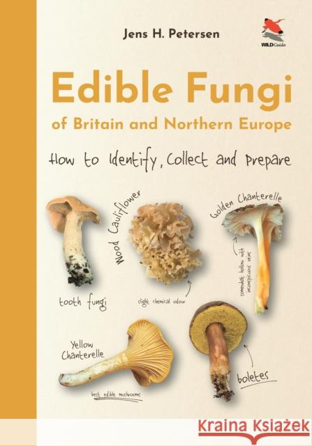 Edible Fungi of Britain and Northern Europe: How to Identify, Collect and Prepare Petersen, Jens H. 9780691245195 Princeton University Press
