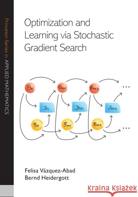 Optimization and Learning via Stochastic Gradient Search Bernd Heidergott 9780691245867 Princeton University Press