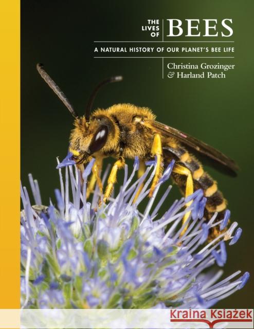 The Lives of Bees: A Natural History of Our Planet's Bee Life Dr. Harland (Assistant research professor; Director of pollinator programming at the Pollinator and Bird Garden) Patch 9780691247298 Princeton University Press
