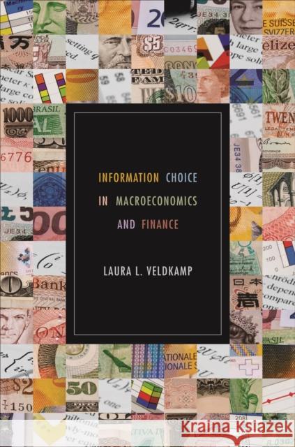 Information Choice in Macroeconomics and Finance Laura L. Veldkamp 9780691248097