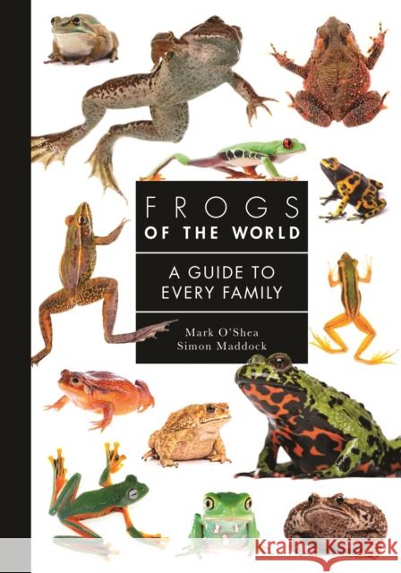 Frogs of the World: A Guide to Every Family Simon Maddock 9780691248301 Princeton University Press