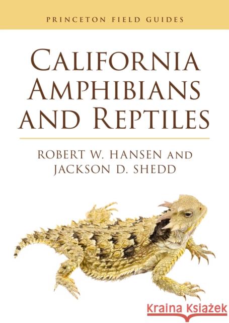 California Amphibians and Reptiles Robert W. Hansen Jackson D. Shedd 9780691249070 Princeton University Press