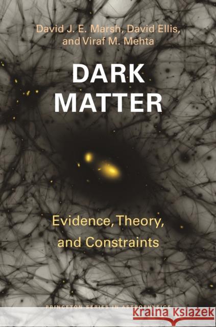 Dark Matter: Evidence, Theory, and Constraints Viraf M. Mehta 9780691249513 Princeton University Press