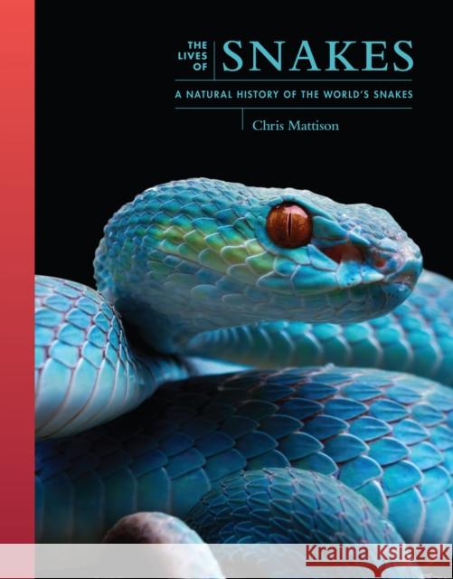 The Lives of Snakes: A Natural History of the World's Snakes Chris Mattison 9780691250601 Princeton University Press