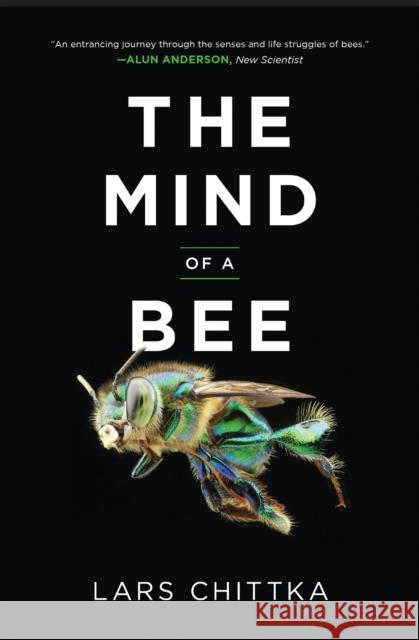 The Mind of a Bee Lars Chittka 9780691253893