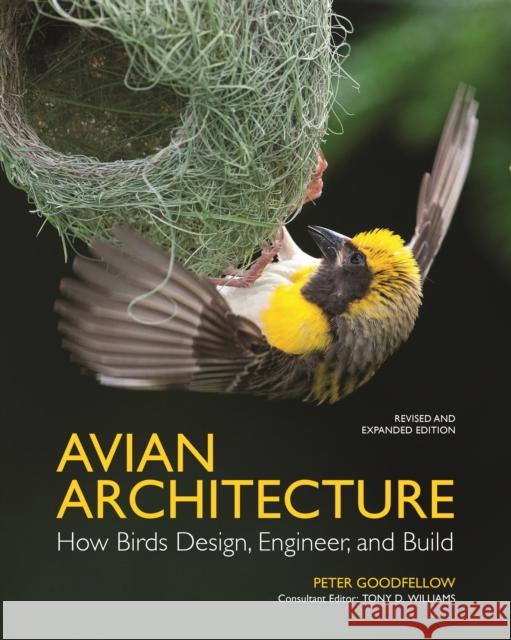 Avian Architecture  Revised and Expanded Edition Peter Goodfellow 9780691255460 Princeton University Press