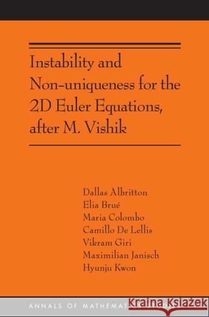 Instability and Non-uniqueness for the 2D Euler Equations, after M. Vishik: (AMS-219) Hyunju Kwon 9780691257525 Princeton University Press