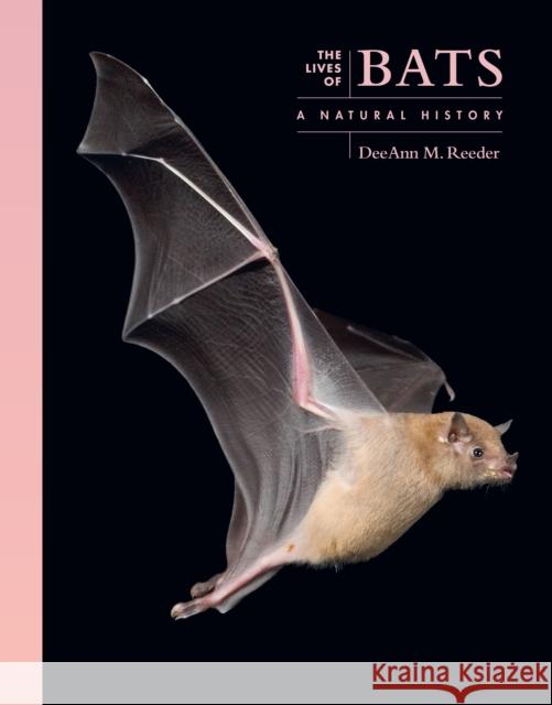 The Lives of Bats: A Natural History DeeAnn M. (Professor of Biology) Reeder 9780691257624 Princeton University Press