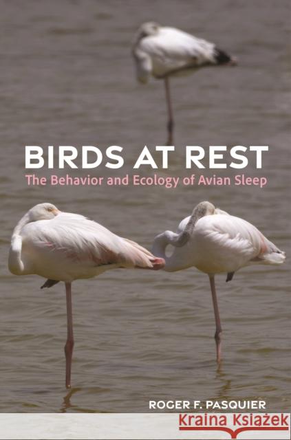 Birds at Rest: The Behavior and Ecology of Avian Sleep Roger F. Pasquier 9780691259963 Princeton University Press