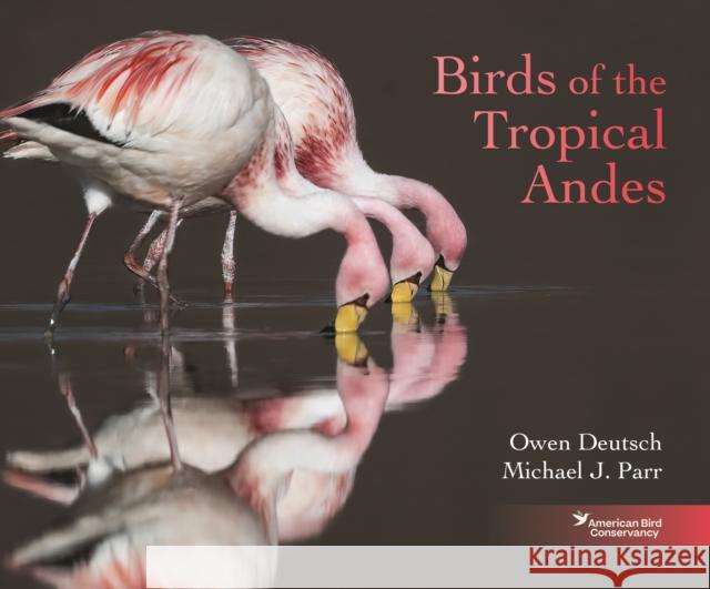 Birds of the Tropical Andes Michael J. Parr 9780691260686 Princeton University Press