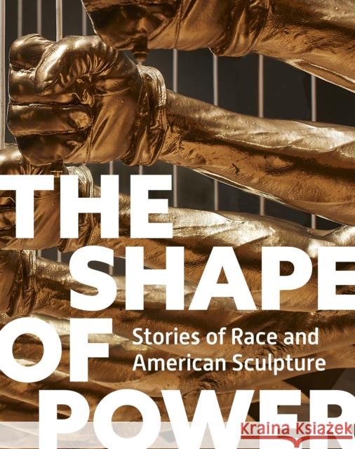 The Shape of Power: Stories of Race and American Sculpture Karen Lemmey Tobias Wofford Grace Yasumura 9780691261492 Princeton University Press