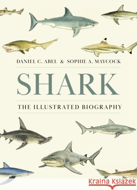 Shark: The Illustrated Biography Daniel Abel Sophie A. Maycock 9780691261676 Princeton University Press