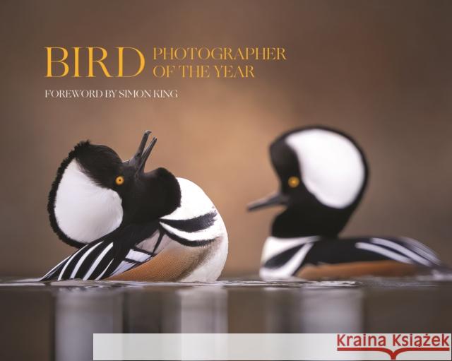 Bird Photographer of the Year: Collection 9 Bird Photographer of the Year Limited    Simon King 9780691263595 Princeton University Press