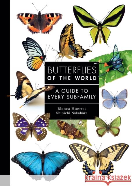 Butterflies of the World: A Guide to Every Subfamily Shinichi Nakahara 9780691265209