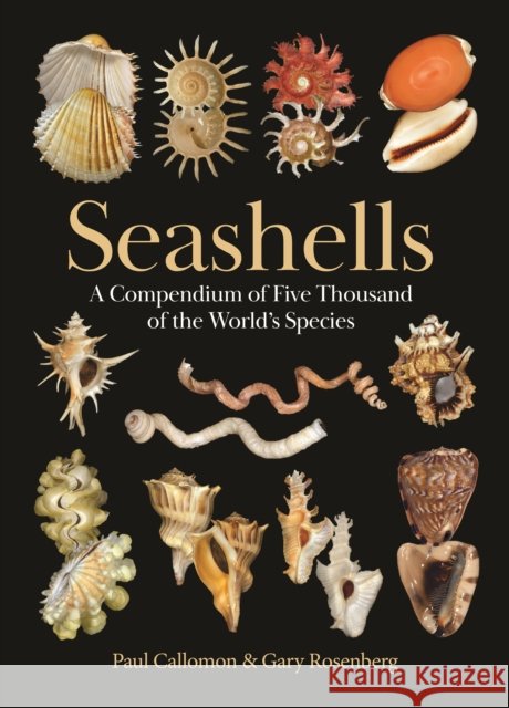 Seashells: A Compendium of Five Thousand of the World's Species Gary Rosenberg 9780691265285