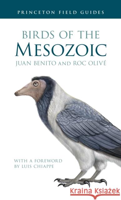 Birds of the Mesozoic Juan Benito Roc Oliv? Luis Chiappe 9780691266565 Princeton University Press