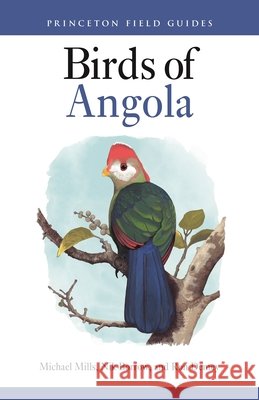 Birds of Angola Ron Demey 9780691267005 Princeton University Press