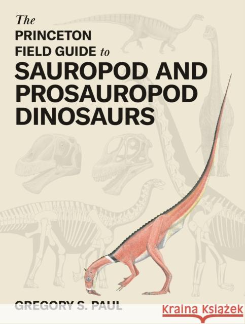 The Princeton Field Guide to Prosauropod and Sauropod Dinosaurs Gregory S. Paul 9780691268651 Princeton University Press