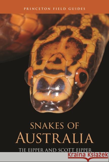 Snakes of Australia Tie Eipper Scott Eipper 9780691269931