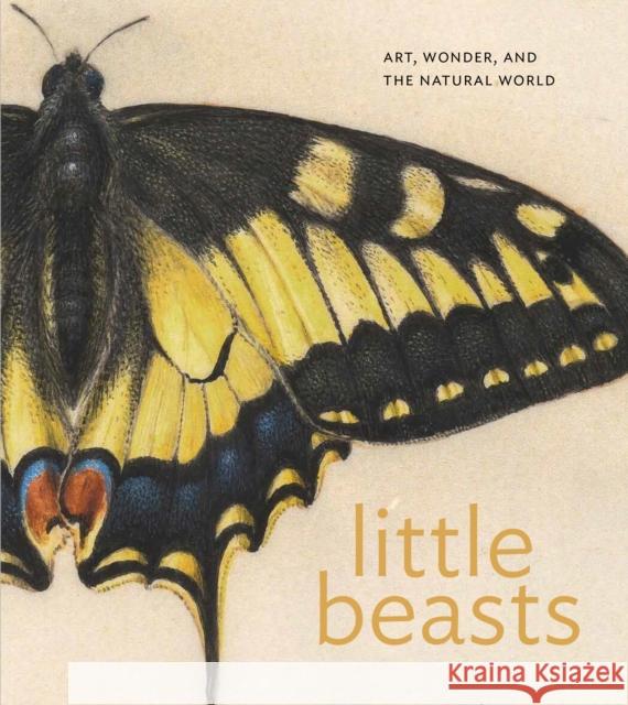 Little Beasts: Art, Wonder, and the Natural World Alexandra Libby Brooks Rich Stacey Sell 9780691271309