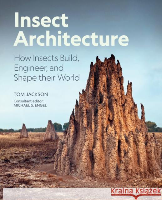 Insect Architecture: How Insects Design, Engineer, and Build Tom Jackson 9780691275239 Princeton University Press