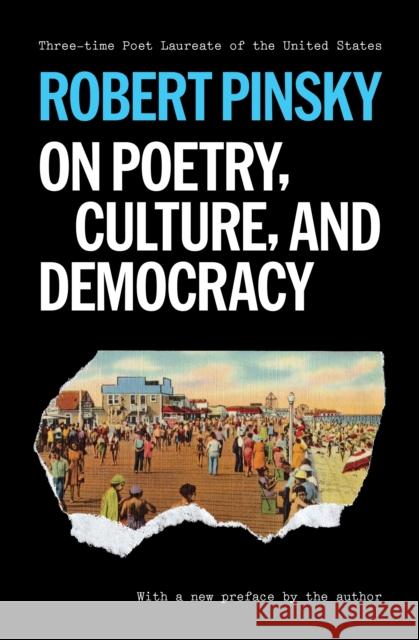 On Poetry, Culture, and Democracy Robert Pinsky 9780691278254
