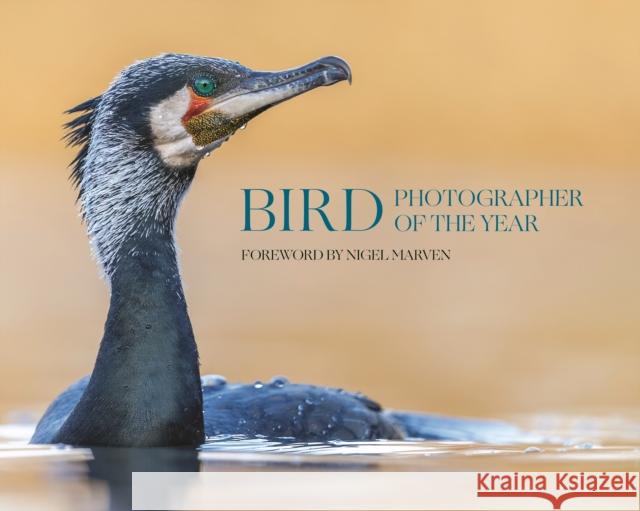 Bird Photographer of the Year: Collection 10 Bird Photographer of the Year Limited 9780691278674