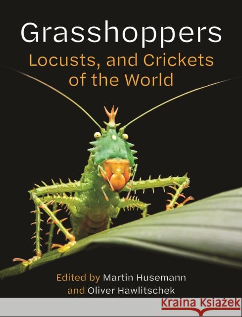 Grasshoppers, Locusts, and Crickets of the World Oliver Hawlitschek 9780691281056 Princeton University Press