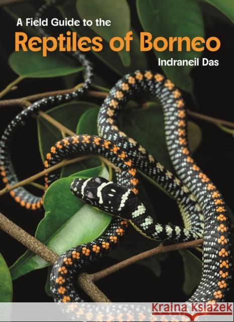 Field Guide to the Reptiles of Borneo Indraneil Das 9780691281223 Princeton University Press