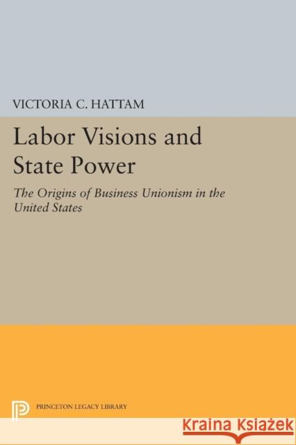 Labor Visions and State Power: The Origins of Business Unionism in the United States Hattam, Victoria C. 9780691600086