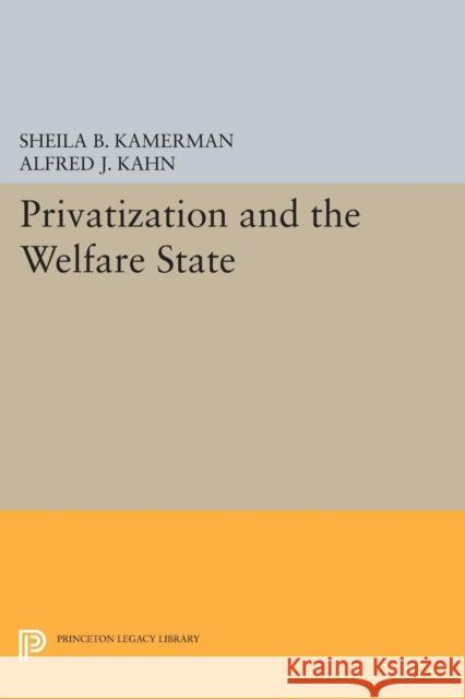 Privatization and the Welfare State Kamerman, S B 9780691600727 John Wiley & Sons