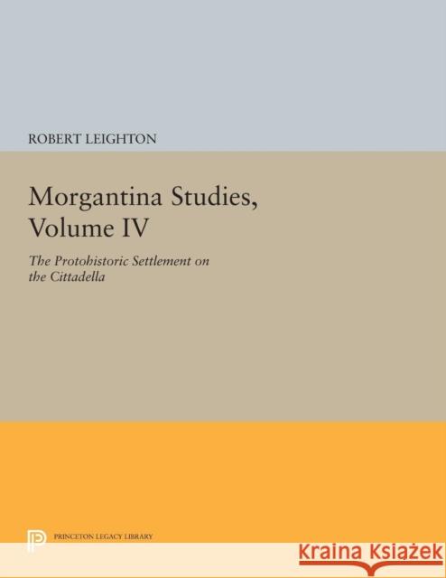Morgantina Studies, Volume IV: The Protohistoric Settlement on the Cittadella Leighton, Robert 9780691605555 John Wiley & Sons