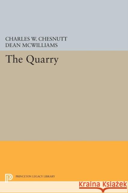 The Quarry Charles W. Chesnutt Dean McWilliams 9780691606774